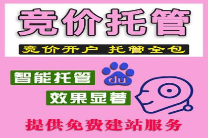 竞价广告的投放策略与效果评估——以一成功企业为例